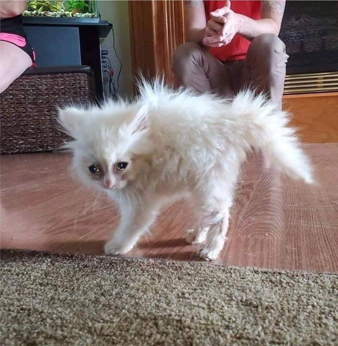 𝗕𝗥𝗔𝗡𝗗𝗢𝗡. 𓂅 ғᴄ ! ᴀᴜ. (@dclightfvlsoul) on Twitter photo 