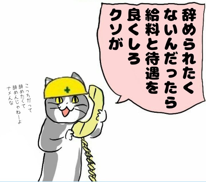 現場猫bot On Twitter Nbanana46 Kyチェック ヨシ Twitter