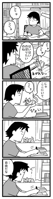 13 のぼるはな 