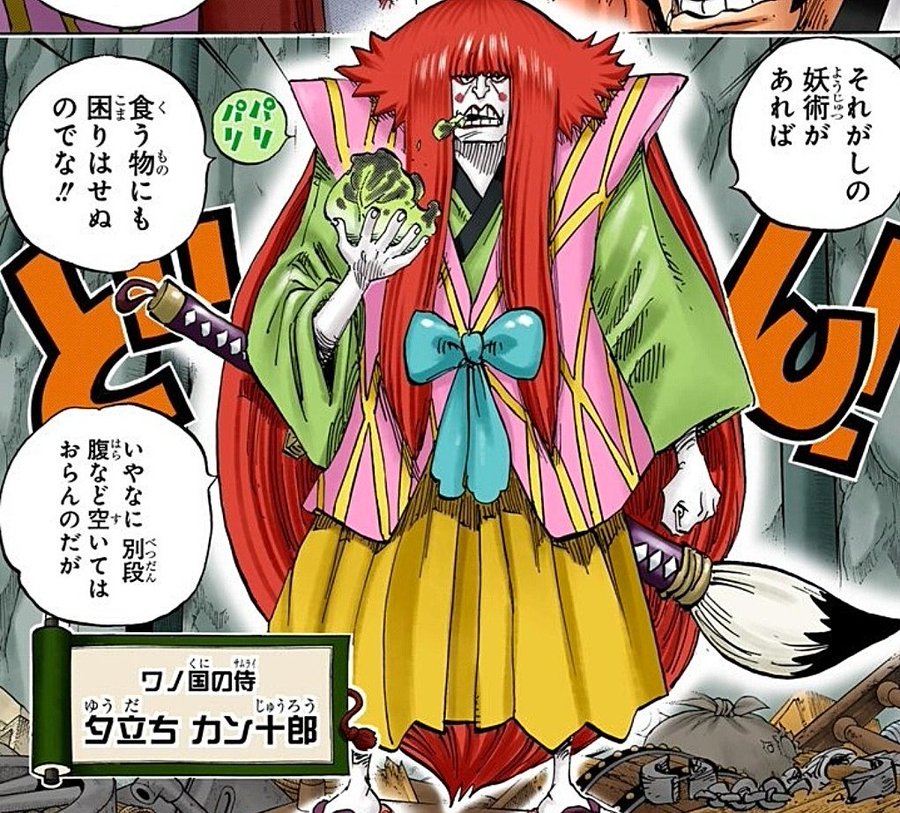 ワンピースで錦えもんの正体は年前の過去から来た光月おでんの家臣だった Legend Anime