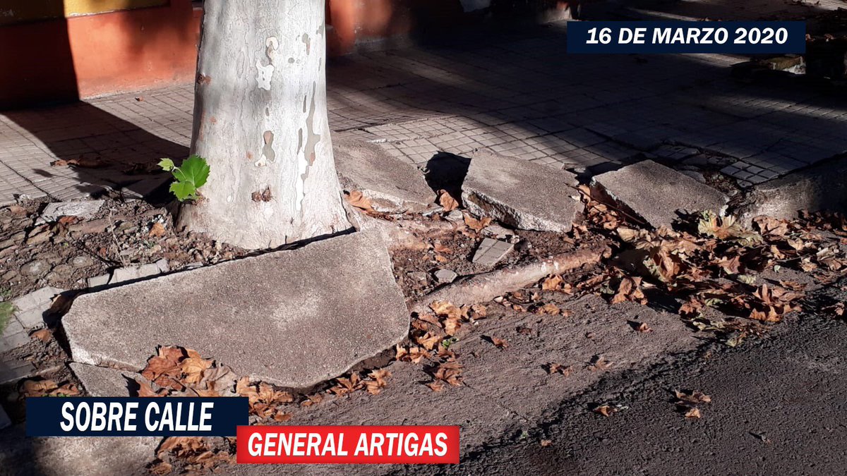 alex_Alcalde2's tweet photo. Por un municipio que junto a los vecinos arreglé y construya veredas para una circulación inclusiva....en mayo #VotáRenovación.
El "Profe" ALCALDE
#Súmate https://t.co/ihd8ugyOby