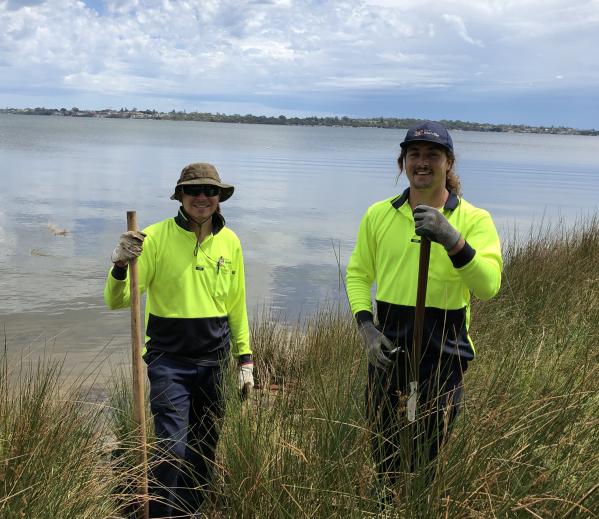 cityofmelville's tweet image. 🌱🌱Our Natural Areas Team and volunteers from Swan Estuary Reserve Action Group (SERAG) and @CVAustralia planted #sedges at Melville Beach Rd foreshore to improve vegetation quality and reduce #erosion #melvillecity : ow.ly/mlrJ50yKGEV