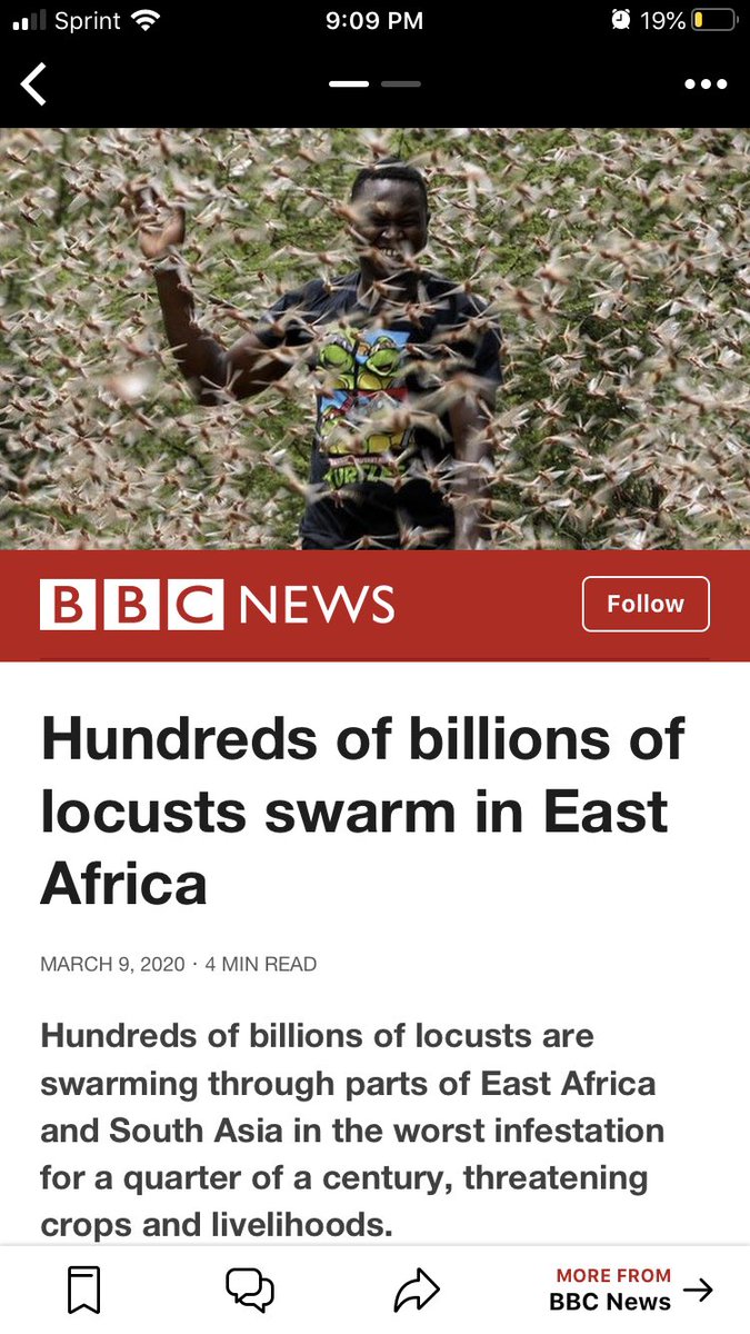 AReinaPhoto's tweet photo. So, so far in 2020 there’s been “whispers of war”, pandemic and now locusts? Not to mention the fires in Australia...I’m not religious and I’m not sure about the Bible but damn https://t.co/o1WFAh0UJk