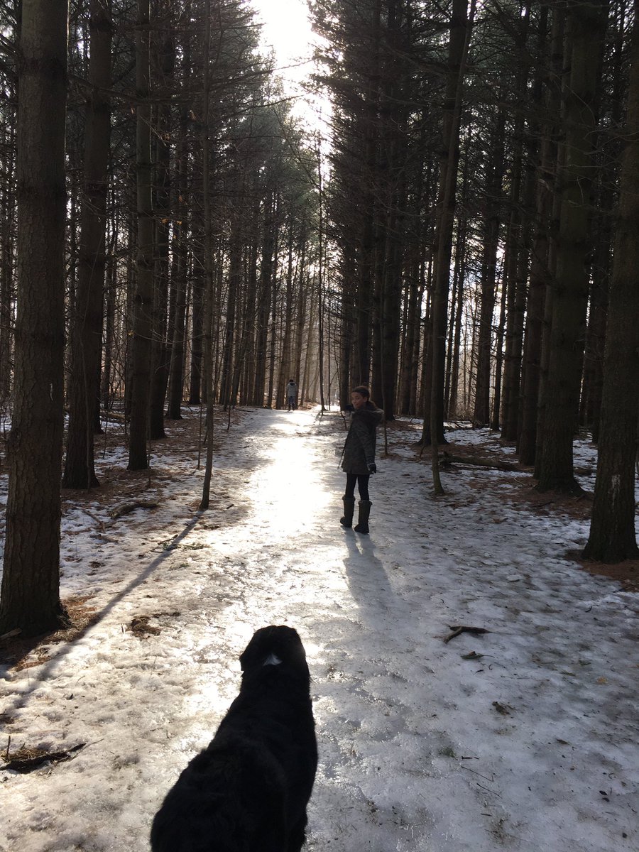 ez2clean's tweet photo. The sunshine reflects off the remainder of the winter ice. https://t.co/1GDfffwDcH