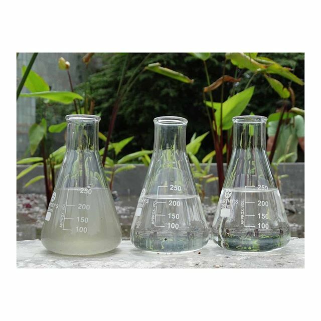 FindingInfinity's tweet image. Israel Recycles 87% of its wastewater
• Majority of recycled water is used for irrigation
• Around 50% is treated using an advanced process which allows it to be reused for any crops, rather than limited types of irrigation
• Accounts for almost a th… ift.tt/2IO5XwO