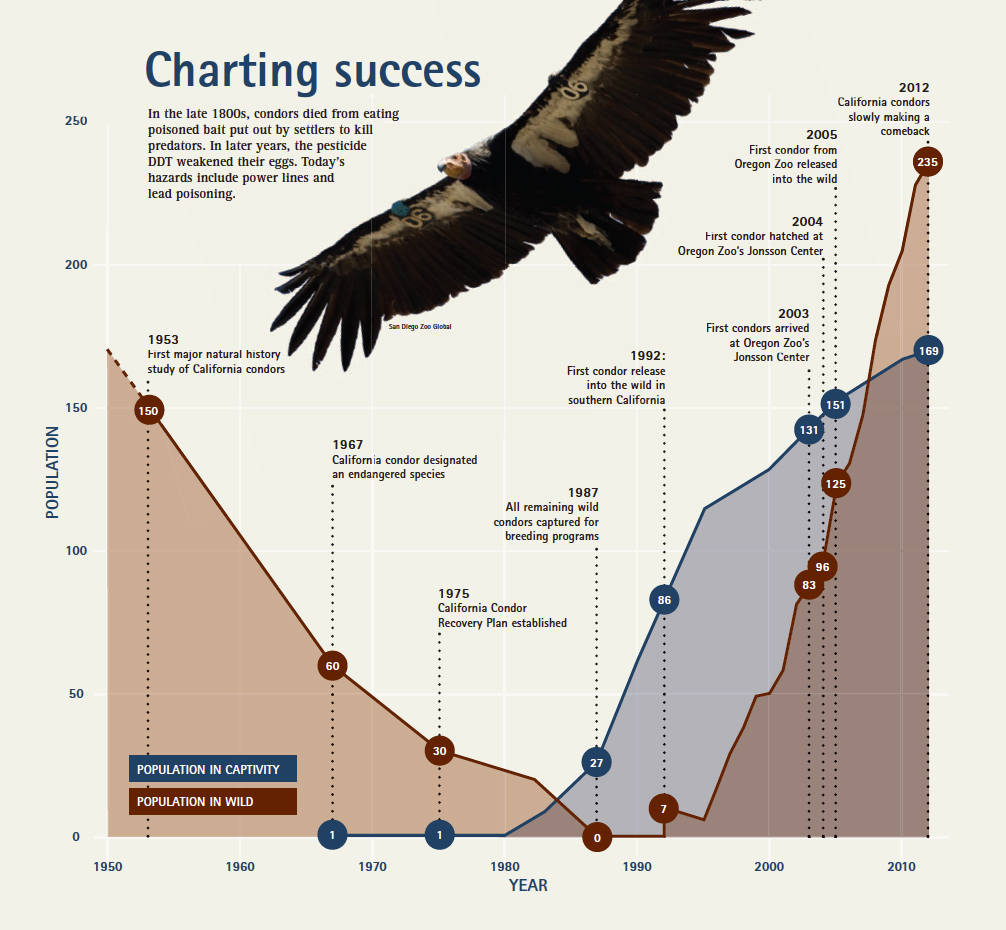 Mauna Dasari on Twitter "Condors, you say??? 2020MMM MMMattheMovies