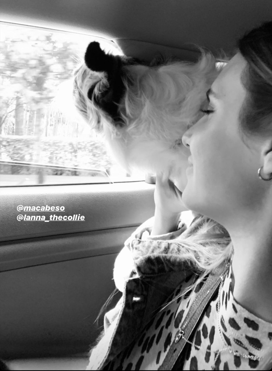 Achaga___Maca's tweet photo. Ya superaron esta foto?? #Lanarena 😍💕 yo noooou 🤧🐶🍰 https://t.co/MsXhX90JKV