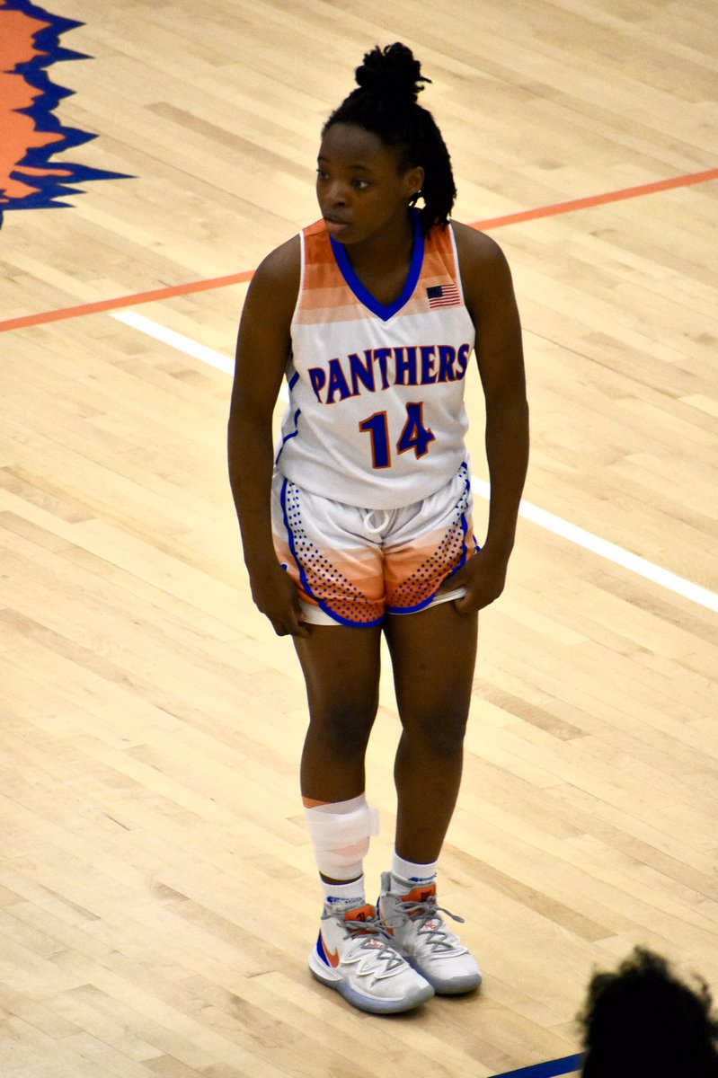 ParkviewLadyPanthers tweet media
