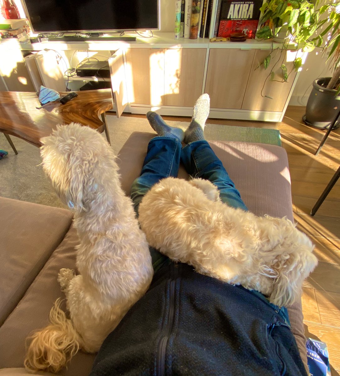 Alex Atzberger tweet media