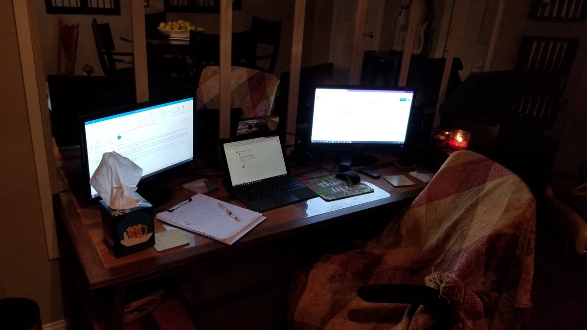 MrsVessell's tweet image. Mission control was set up and ready to go today, and I couldn&apos;t do it without my  furry co-captains, Stella and Roxy! @ELHS_HCS @HenryCountyBOE #RemarkableRemoteLearningHCS