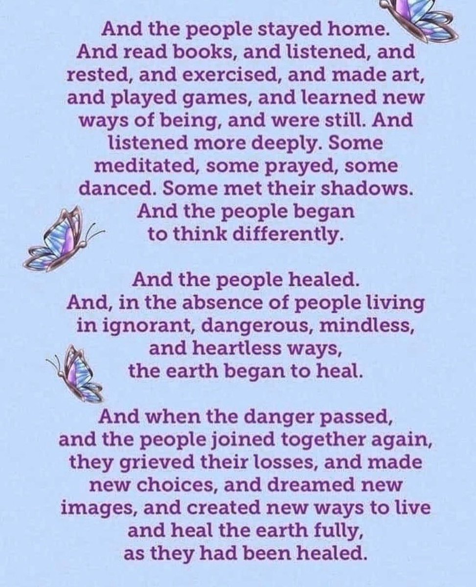 Lily Carol Moore tweet media