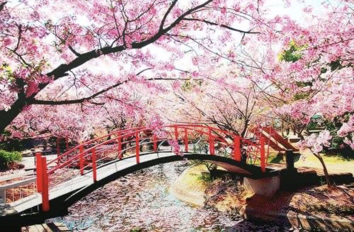 jhonysasaki's tweet photo. Março e abril são os meses mais esperados pelos japoneses, pois é chegado o fim do inverno, do frio, da neve e das cores pálidas que compõe o inverno japonês.
Com #ipcdigital #RevistaSuperVitrine https://t.co/789GScHgMp https://t.co/j7vMAiXELh