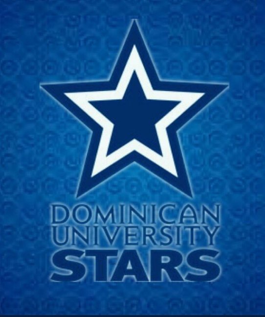 IndiansWest's tweet photo. Congrats to Tyler Jones '20 RH IF/OF of Streamwood HS/Illinois Indians West for his commitment to play college ball at Dominican University. Tyler hits to all fields w/power, has a solid glove, &amp; is quick w/a sub 7 60! #DOMUnation @IllinoisIndians @SabreBaseball90 @chad_coates8 https://t.co/Dsv1LGtF0p