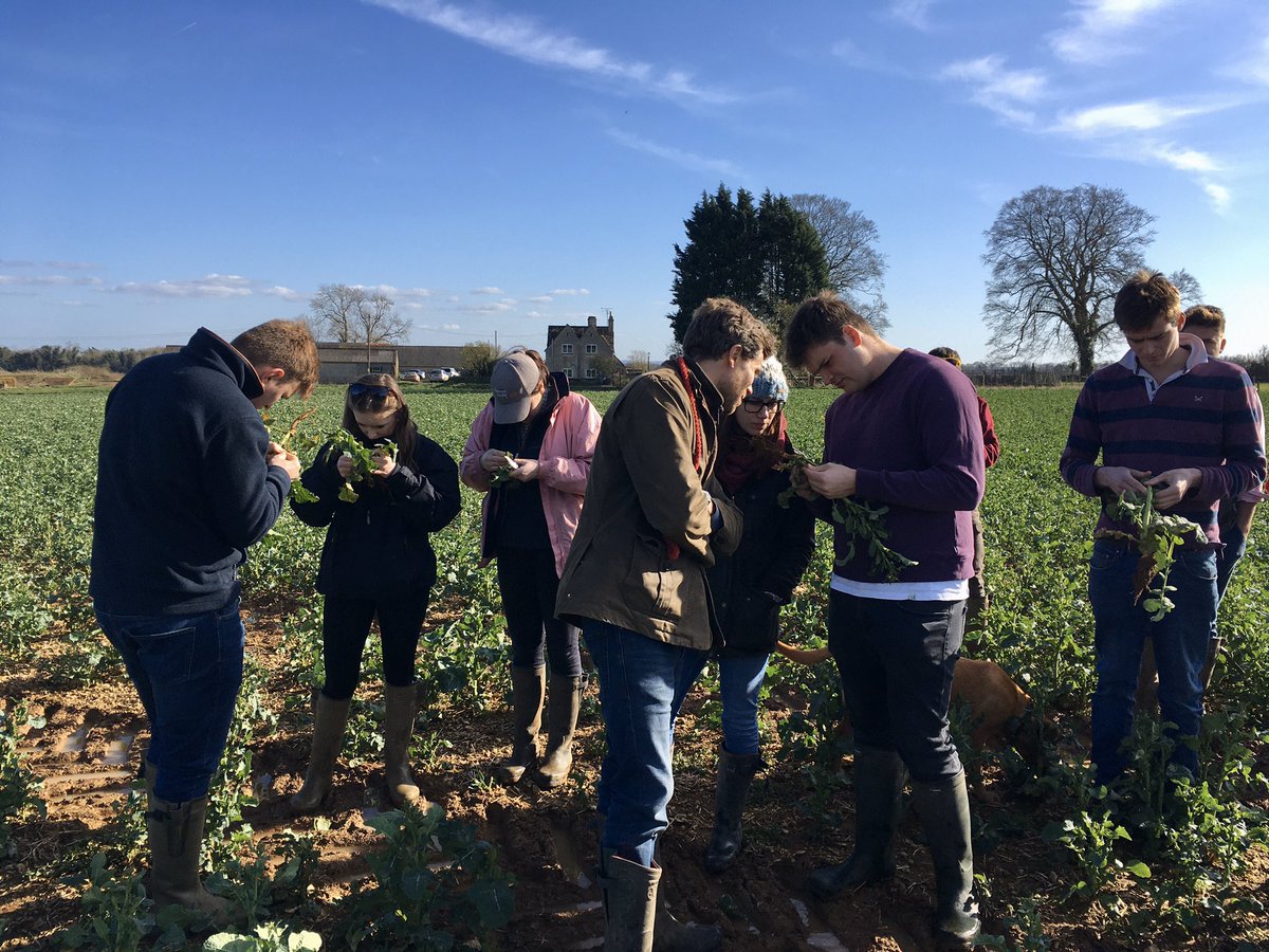 Nicola Cannon (@nickydcannon) on Twitter photo Class of 2020 final year crop students. Last farm walk. Sad to be finishing early but challenging times. Good luck everyone. <a href="/RoyalAgUni/">Royal Agricultural University</a> #coronavirus Class of 2020 final year crop students. Last farm walk. Sad to be finishing early but challenging times. Good luck everyone. <a href="/RoyalAgUni/">Royal Agricultural University</a> #coronavirus