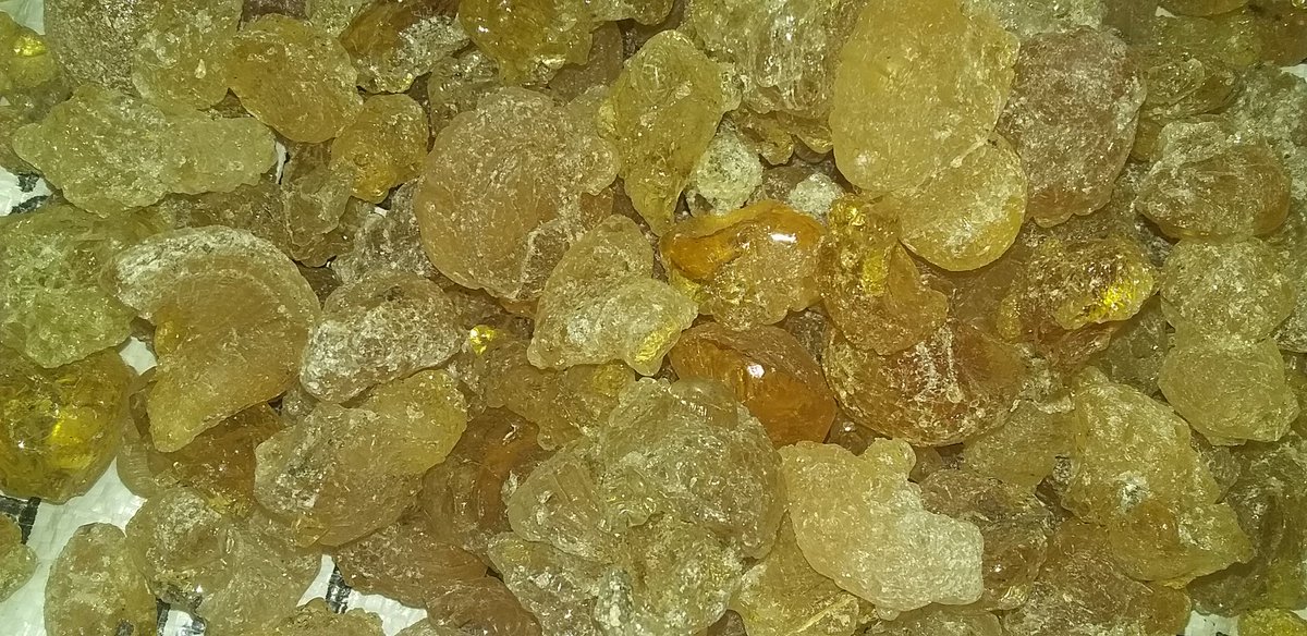 In ancient history, the Egyptians used #acaciagum as medicine due to its healing properties.
Today, this natural product is still used in the health industry...

Read more 👇 
healthline.com/health/7-uses-…