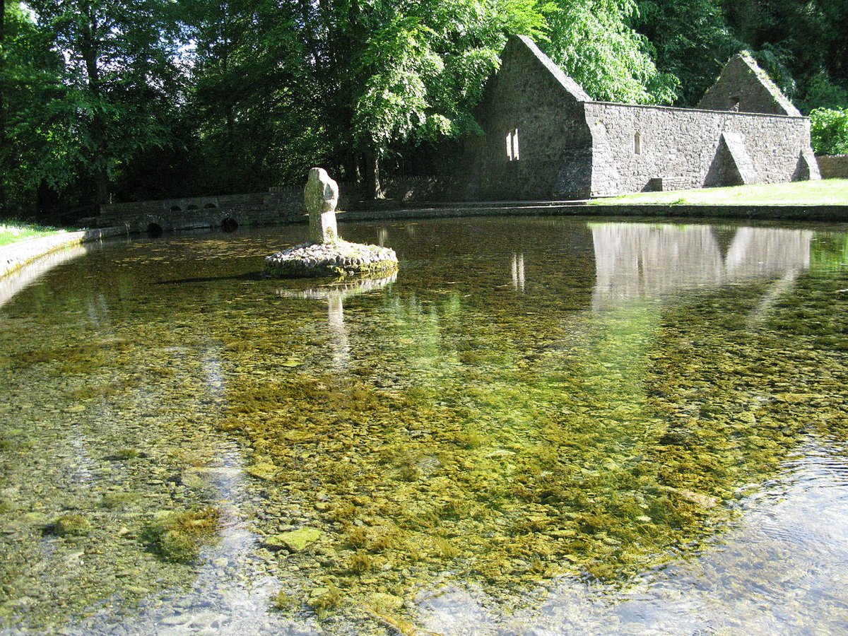 lorraineelizab6's tweet photo. ๐ทSt Patrick's well, #Marlfield, #Clonmel, Co #Tipperary, #Ireland! According to tradition the well was renowned for 'curing sore lips, sore eyes and scrofula'. ยฉ๏ธRustyTheDog & Denise Hewitt. #StPatricksDay https://t.co/Ho2sOsfJER https://t.co/6IFhmmtqgh
