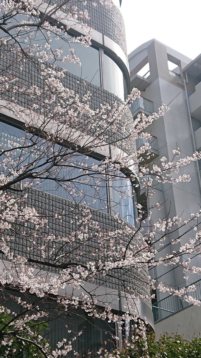 umanarikunDcom's tweet image. #イマソラ
12度

右の上の
差し歯がポロリ

お手入れはいつも万全ですね😇

#citypop 

#longversion
#稲垣潤一  Inagaki Junichi