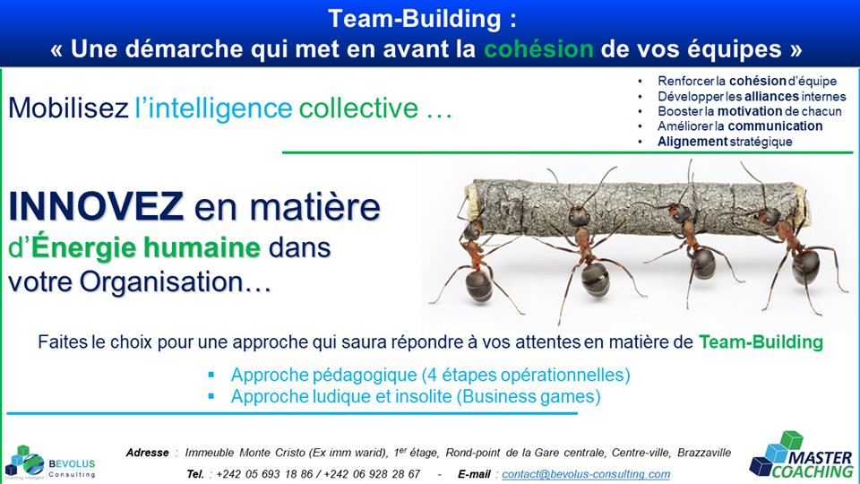Vivez une expérience unique avec vos équipes en organisant une session de #TeamBuilding dans votre entreprise avec attestation de formation au #Coaching 👉👉👉  06 928 28 67.
Vous avez raté la #MasterClassInterEntreprises ... Rattrapez vous !!! #Bevolus #Congo #Manager #BPSCG