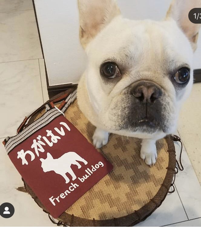 志賀忠商店🔥まつり袋❗️さんぽ袋❗️ うまっしゅ❗️ tweet media