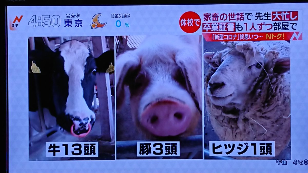 熊谷農業 Twitter Search