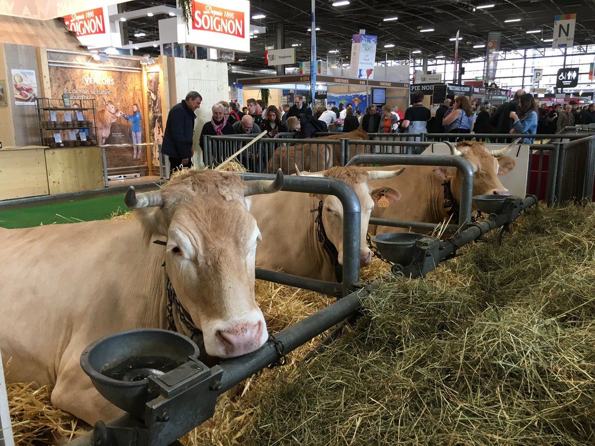 Et c’est là qu’on se rend compte de l’importance d’avoir des agriculteurs en France. Merci aux éleveurs, au maraîchers, aux arboriculteurs, aux producteurs de grandes cultures et à ceux qui pendant cette crise vont continuer à nous nourrir dans des conditions compliquées.