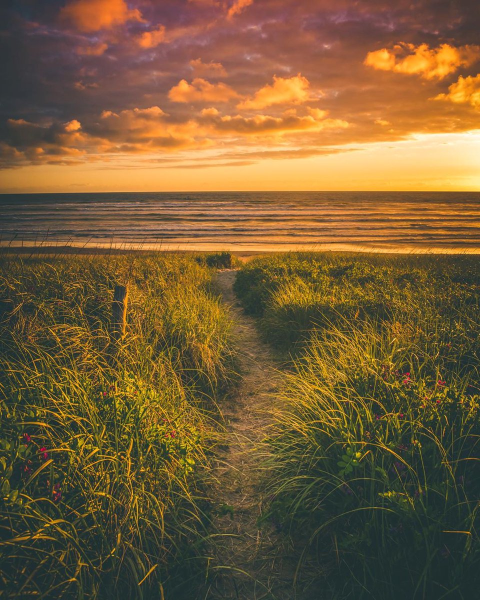 オレゴン州ノースコーストの夕焼け。600km近くある海岸線にはいろいろな景色があります。