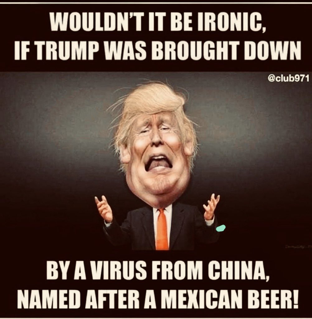 ScoodleSusan's tweet photo. A moderate Republican friend sent this to me... She hates trump and voted for Hillary in 2016  :) I’m guessing it’s making the rounds, hysterical! https://t.co/Drdz6HxaT5