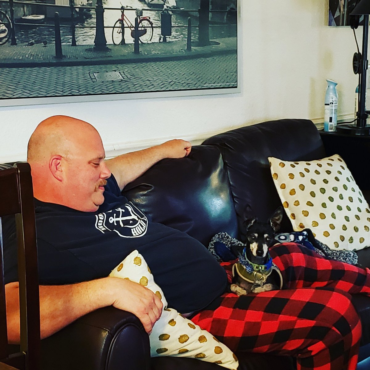 greeneyegemini1's tweet photo. This is MY idea of Social Distancing๐๐ฏ๐ถ
#GrammyRulez #FamilyRulez #DakoNotTaco #socialdistancing #lovemyuncle #brent #imsafe #dogslife #imallgood #lovemyfamily #happyfamily #loved #markedsafe https://t.co/FwrEduQeTO