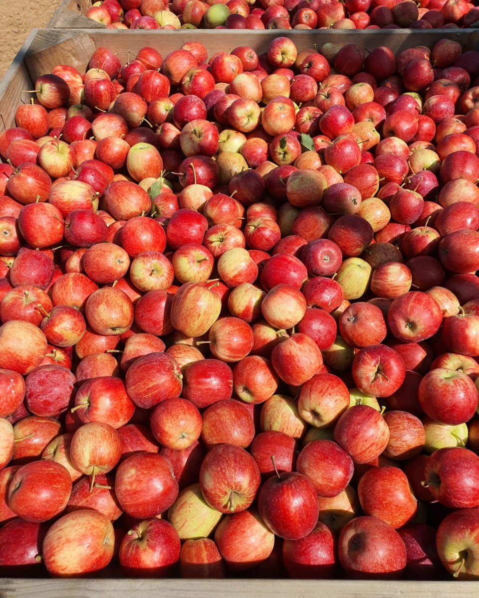 Tie Up Farming tweet media