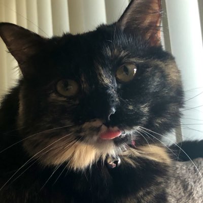 DaynaBudde's tweet photo. #NewProfilePic https://t.co/uUIZmbmHuQ
