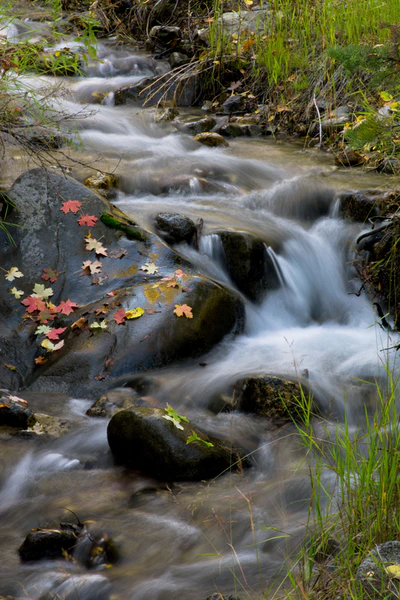 Tom Rogers

the flow and the fall 🍀