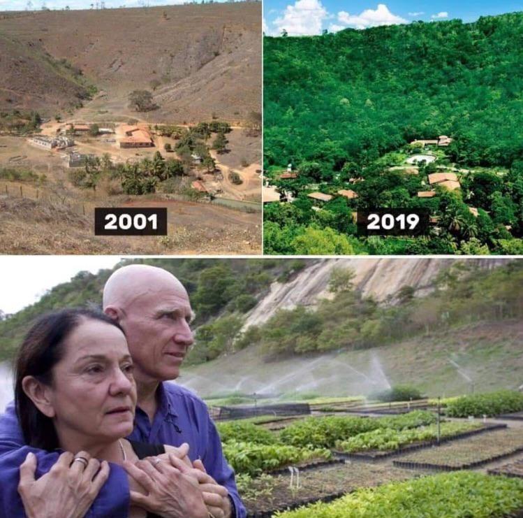 Shekhar_Singh_T's tweet photo. In Brazil, a couple planted 2 million trees in 20 years to create a forest. In all, some 172 bird species have returned, as well as 33 species of mammals, 293 species of plants, 15 species of reptiles, and 15 species of amphibians, an entire ecosystem rebuilt from scratch. 
#Life https://t.co/6ixFkb25CL