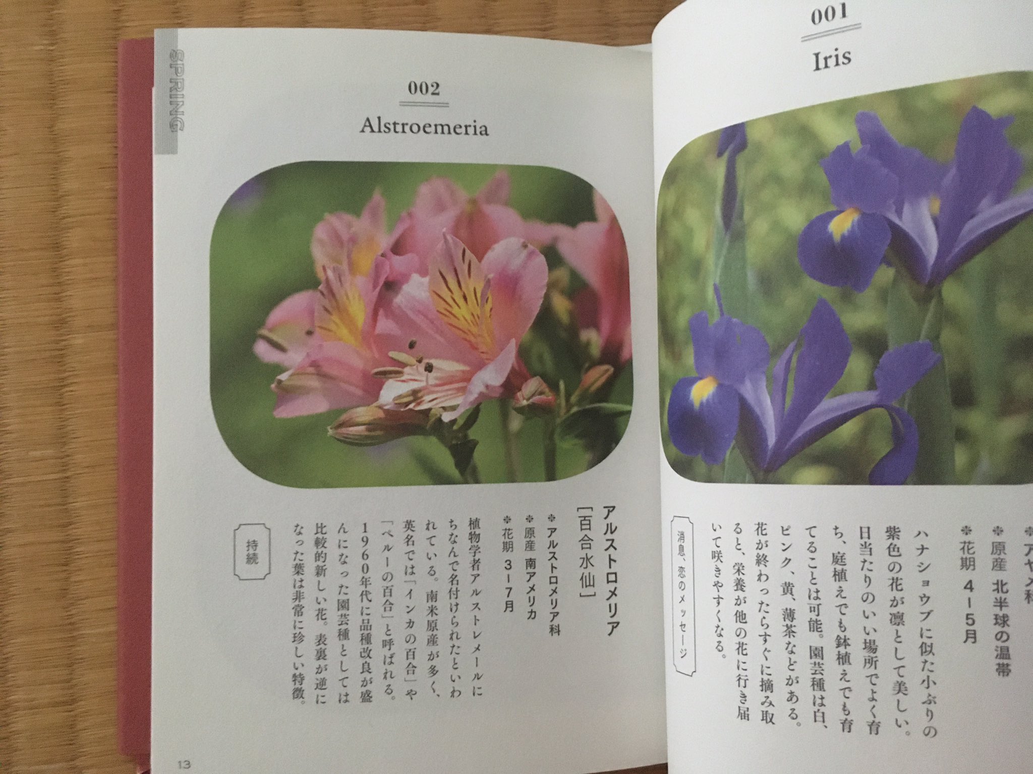 花の辞典 Twitter Search Twitter