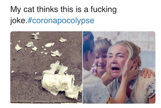 <a href="/jgsoma/">José G. Soto-Márquez</a> <a href="/NPR/">NPR</a>