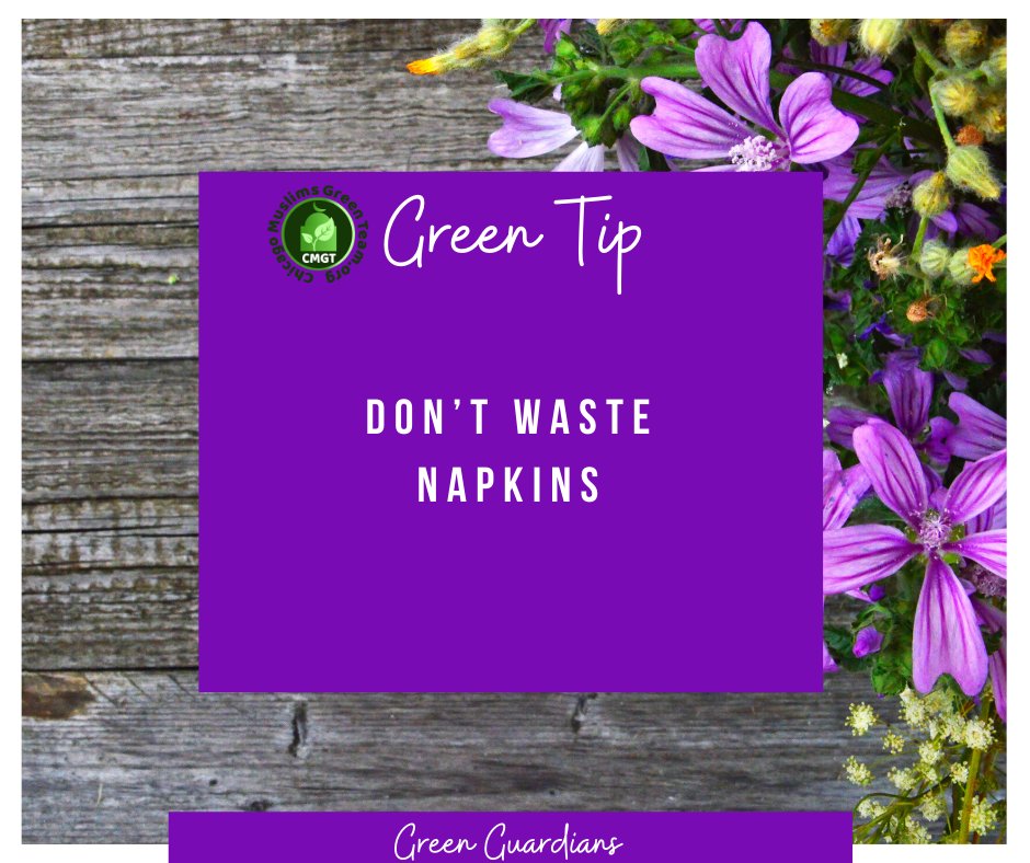 A small item has a significant environmental impact. 
U.S. population wastes 164,250,000,000 (yes billion) paper napkins per year. 
30 days-30 actions 🌎🌱
#zerowaste #nogarbage #greentip #actnow #environment #oneworld #smallactions #greatimpact #greenteam #greenguardians #green