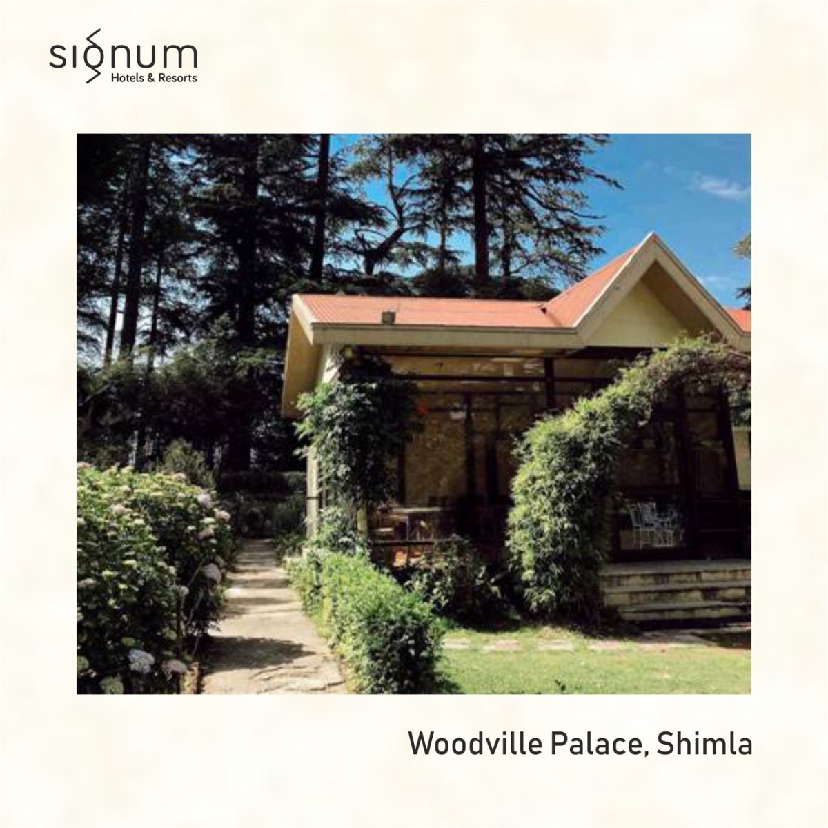 AndSignum's tweet photo. Nestled in a verdant oasis, marvel at the serene natural beauty ensconced with deodars and pine forests at your leisure getaway at Woodville Palace.
.
.
#SignumHotels #WoodvillePalace #Shimla #travel #hotel #stay #shimla #signummemories https://t.co/HjUGSTBG3H