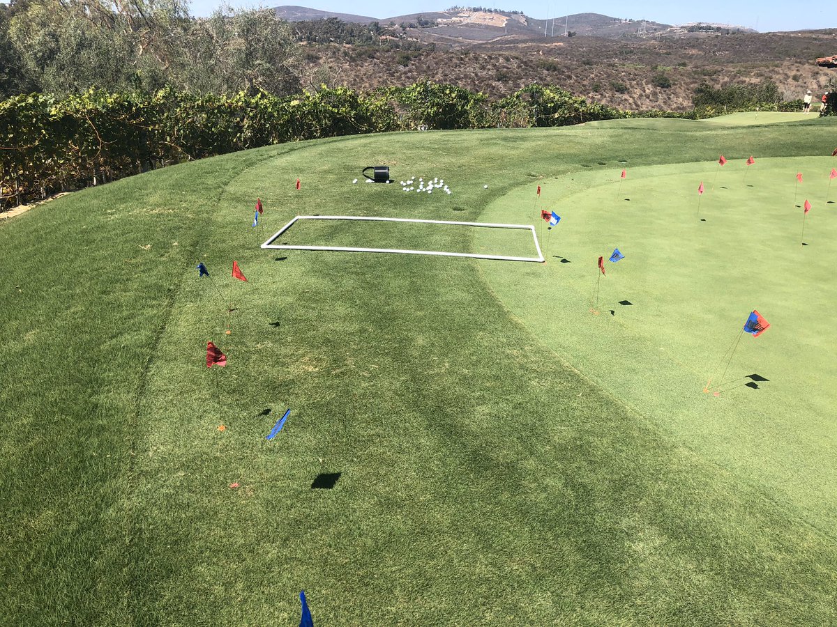 UCRturfgrass's tweet photo. For what it’s worth (not a recommendation), Poa control in bermuda next to bent greens. Controlled rates, irrigation, traffic. Only 1 app in Oct, but best control with Specticle 3oz/A; PoaCure 2.4oz/M (2x); Cumyluron 6oz/M. No bent injury. Also, 👍🏻 repeat apps Xonerate 2SC 3oz/A. https://t.co/NnduweN4EC