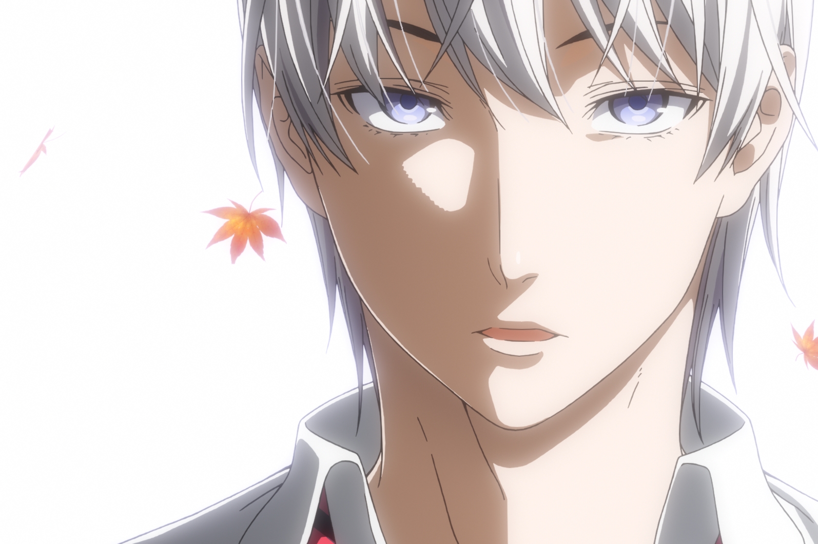 食戟のソーマ 缶バッジ theキャラ 司瑛士 食戟のソーマ』TV