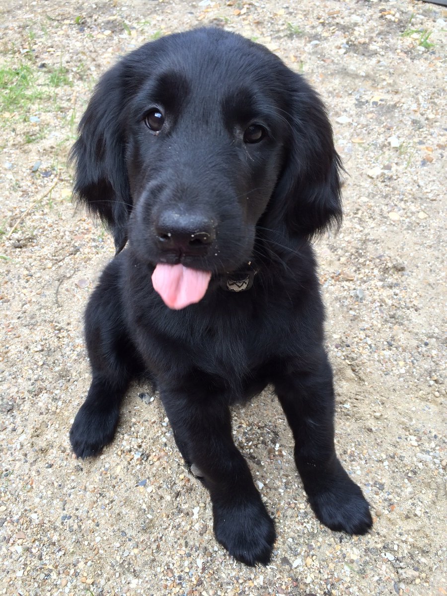 Emma Lindley tweet media