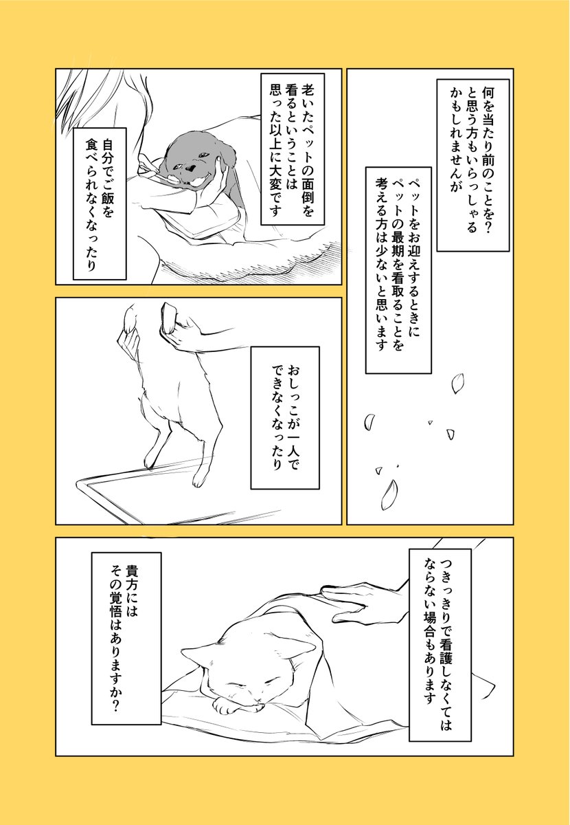 手間 の かからない ペット 犬を家の中で飼うとすれば ズバリ手間がかからない犬種は 毛が 手間 の かからない ペット 犬を家の中で飼うとすれば ズバリ手間がかからない犬種は 毛が