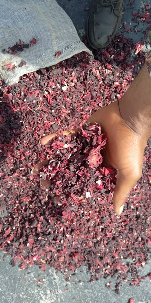 petevop's tweet photo. Today, hibiscus is popular for its ability to reduce hypertension.

It has been used since ancient times for its medicinal properties mostly in the form of tea. #Hibiscus tea helps to prevent cardiovascular disease.
 https://t.co/trEbF9r6QD
#commoditymarkets #Agriculture #Africa https://t.co/8sHH7oBie1
