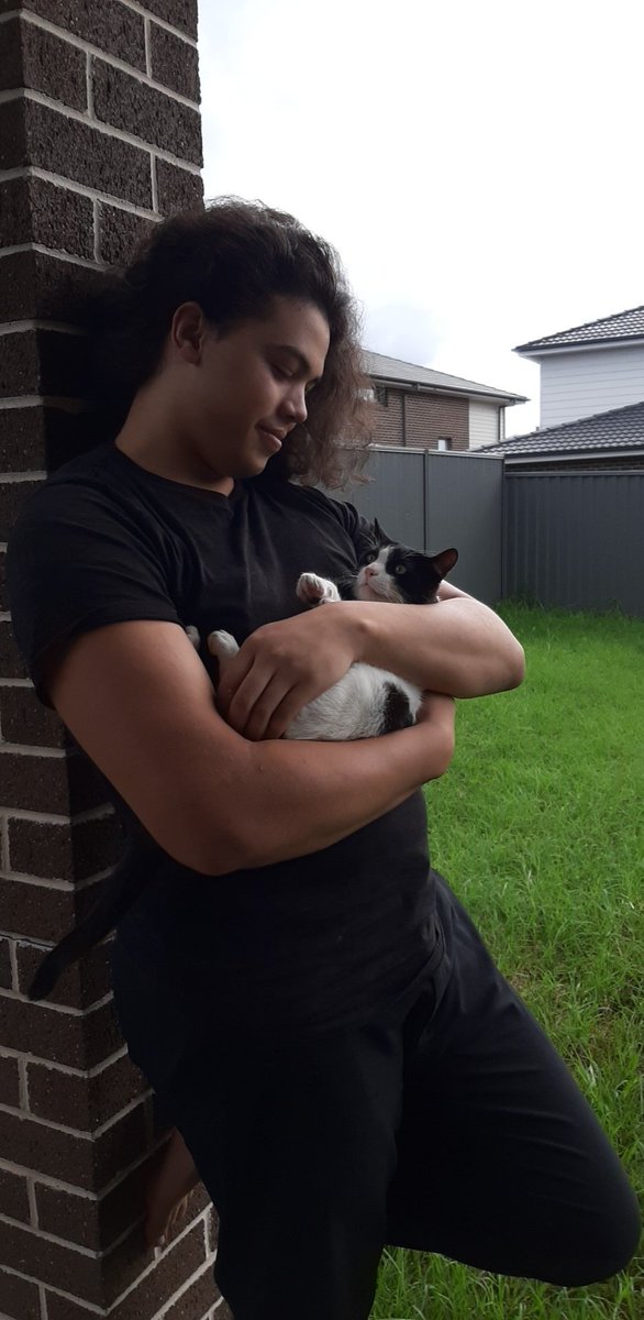 Gentle giant and his pint sized bully. We all strive to be this comfortable one day 😺 <a href="/LoLSamOce/">Sam</a> #TUSKSUP