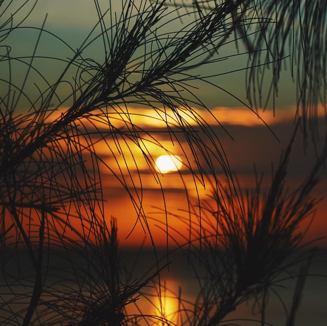 Because when you stop and look around, this life is pretty amazing. - Dr. Seuss, a fascinating moment captured
⁠
#RenHotels #RenPhuket #DiscoverThisWay #TheMaiKhaoLife #Sunset #MaiKhaoBeach #TLAsia #Sunsetsky #Sunsetbeach #Sunsetlover #Phuket #Thailand