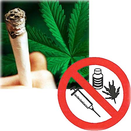 Почему курить коноплю нельзя нужно ли опрыскивать марихуану