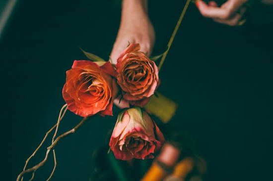 Roses_SJ's tweet photo. Historia de la rosa
Desde el antigua Creta hasta hoy.
https://t.co/rwn2CXJQoj

#SantJordi #Rosas #RosasSantJordi https://t.co/fF0M7g4oUD