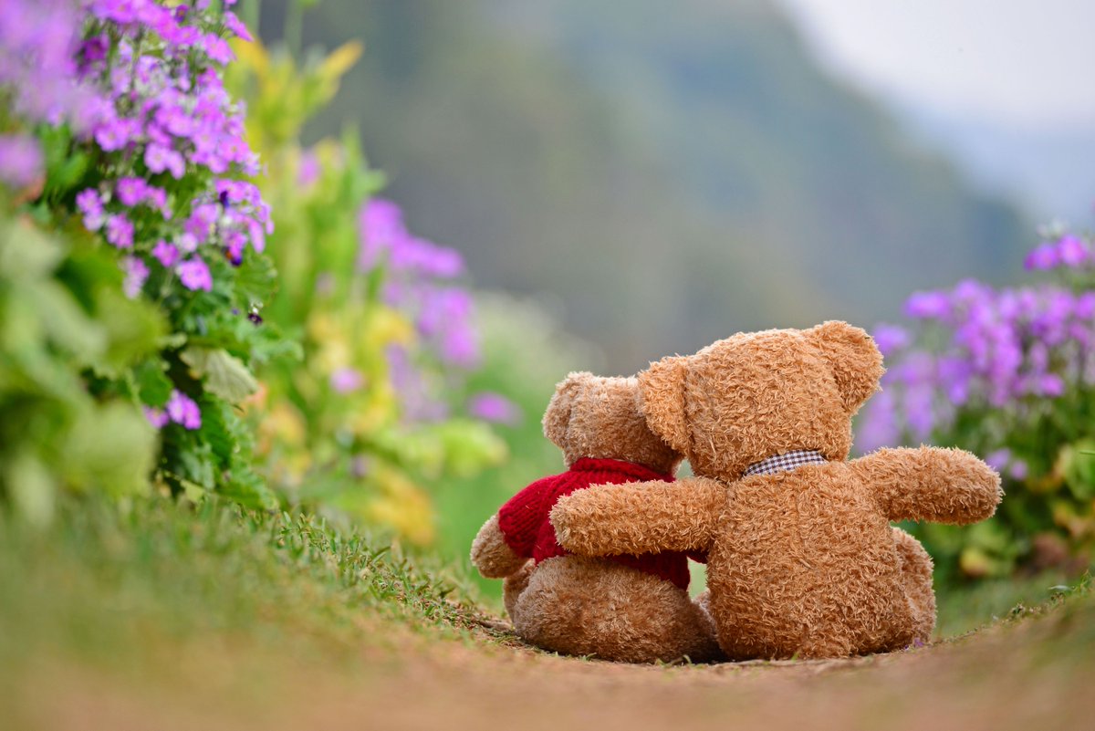 de-escalate.com (D8) tweet media