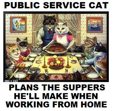 civilservicecat's tweet photo. JUST HAVE TO NOT SNACK ALL DAY
#starttheroastat2
#starthepotatoesat4
#wewilllightcandles
#wewillhaverealgravy
#wwewillalleattogether
#WorkFromHome https://t.co/qtynKTw8KU