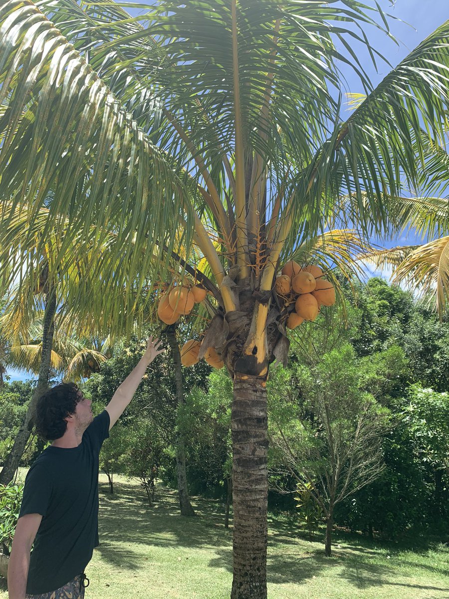 _lizzie13's tweet photo. Family holiday to Mauritius earlier this year. What a difference two months can make plane ✈️ #wishiwasthere #wanderlustmagazine https://t.co/mxLmwDZvQ6