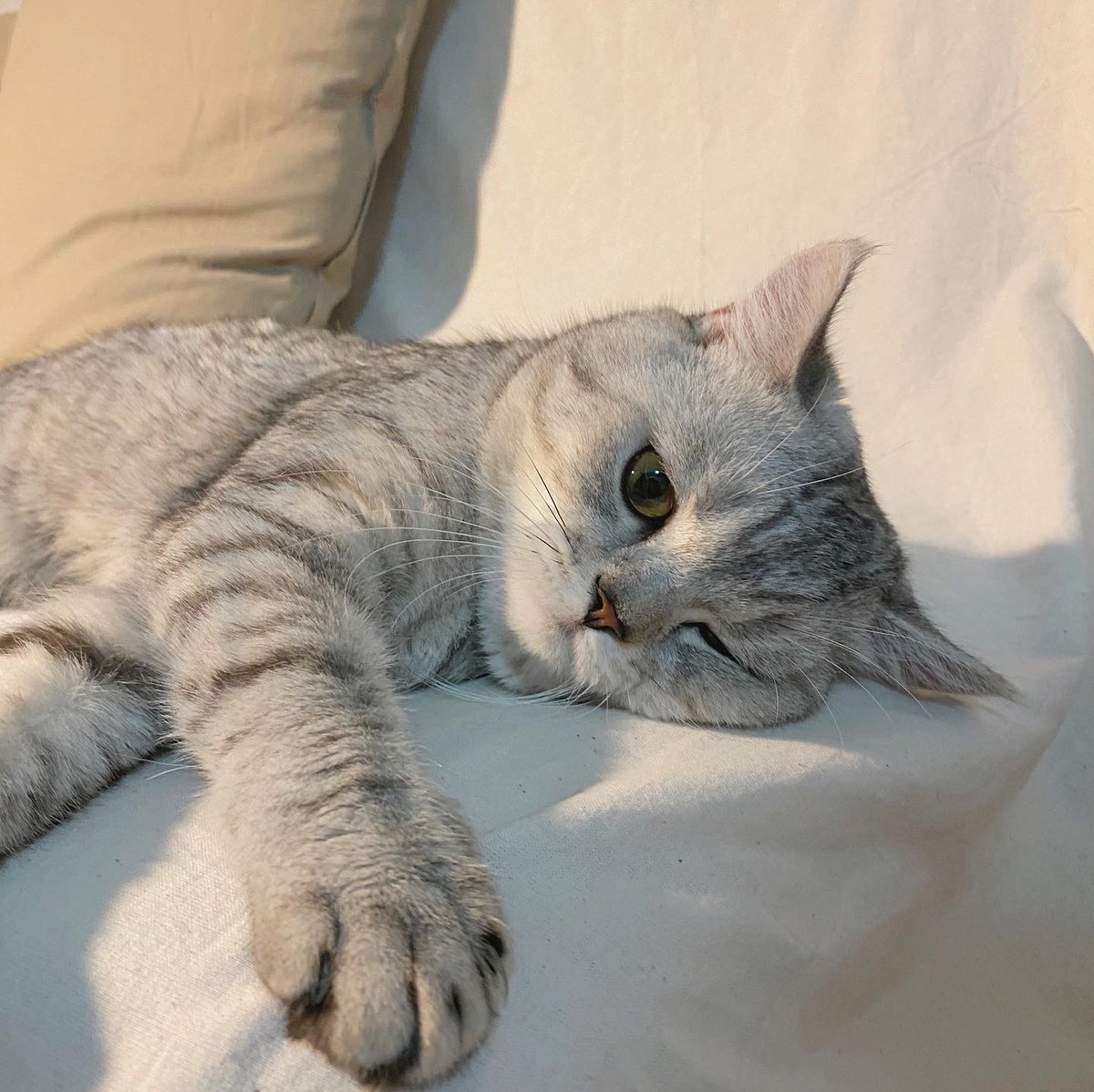 เอสเดินขึ้นโซฟา นั่งเก๊กท่าให้ถ่ายรูป สมเป็นลูกชั้นจริงๆ 555