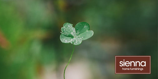 SiennaHF's tweet photo. The Sienna Home Furnishings showroom is closed today. Happy #StPatricksDay to all. Stay safe from all the team at Sienna. https://t.co/8NYrdGMcHJ